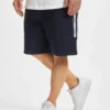 Lacoste Herren Shorts Fleece In Blau